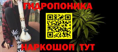 хмурый Обь