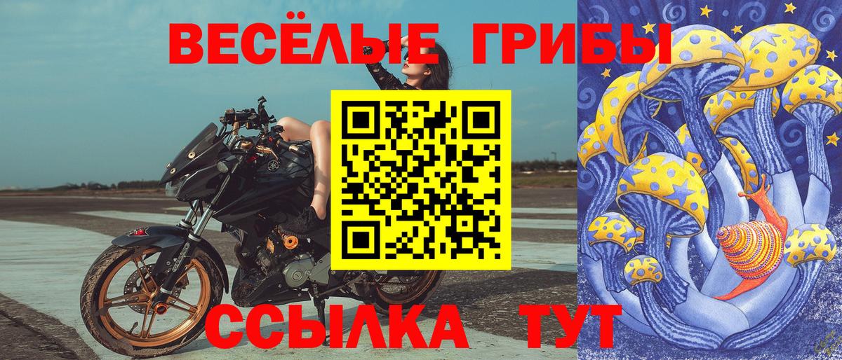 Симферополь  что такое наркотик  Вход с VPN  Псилоцибиновые грибы Magic Shrooms 